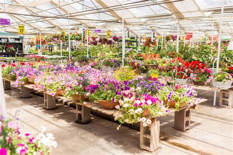 fish nursery|7 top garden centers in the Wasatch Front, according to Yelp.